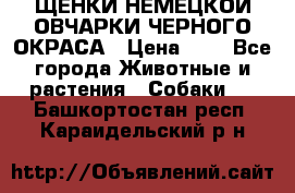 ЩЕНКИ НЕМЕЦКОЙ ОВЧАРКИ ЧЕРНОГО ОКРАСА › Цена ­ 1 - Все города Животные и растения » Собаки   . Башкортостан респ.,Караидельский р-н